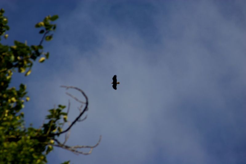070404 Hope Hatcher Montana Creek (10192)